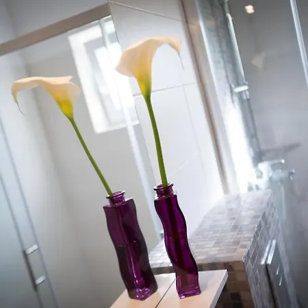 Roza Appartement
